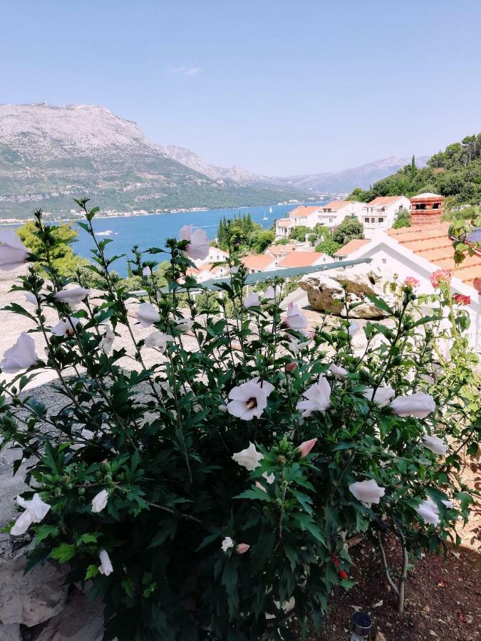 Amore Korčula Exterior foto